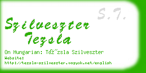 szilveszter tezsla business card